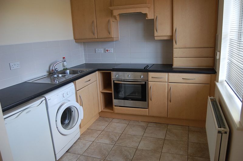 Brookfield West Allotment